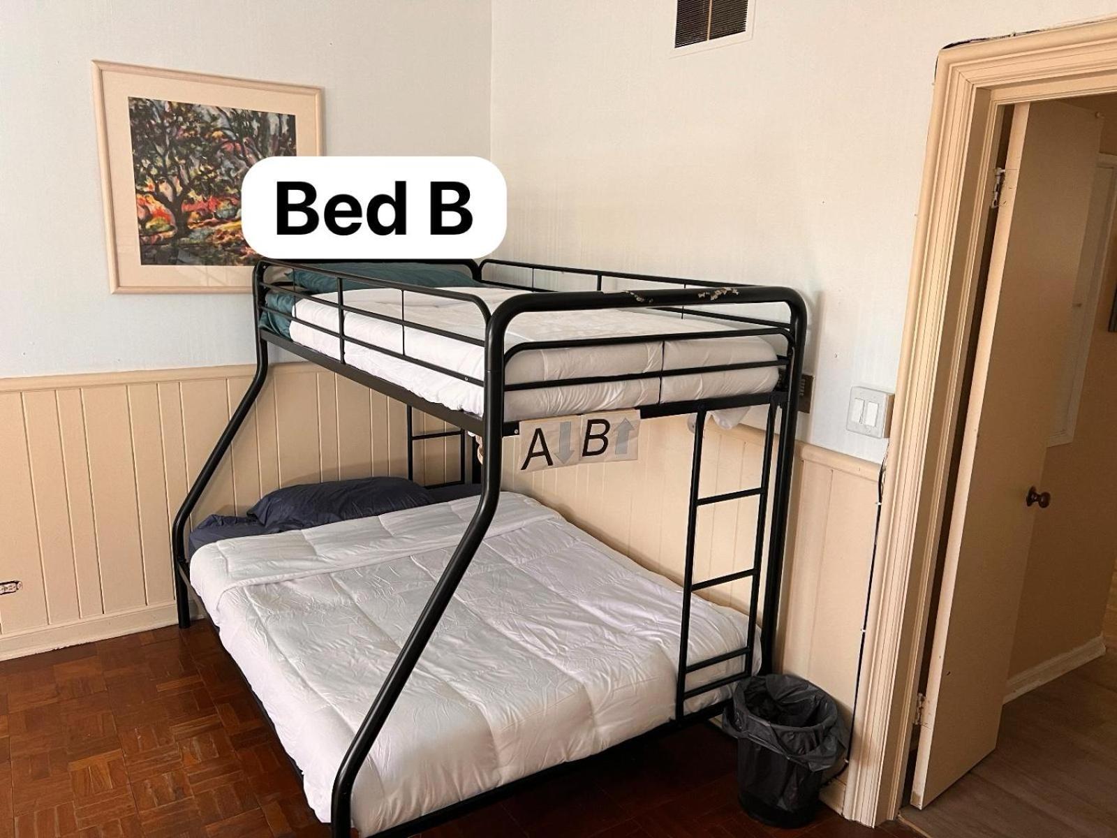 Pill Hill Mansion Hostel Чикаго Екстериор снимка